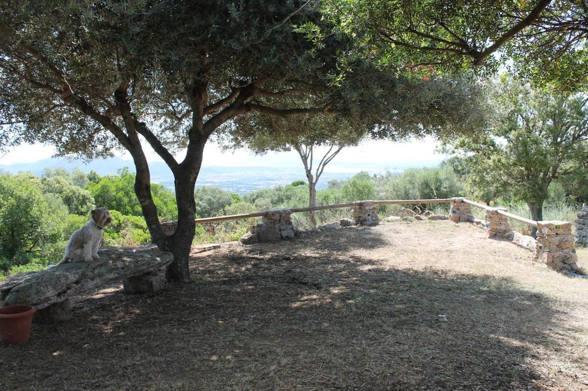 Stazzu Straetu Antico Stazzo Gallurese Con Vista Sul Golfo Di Villa Olbia